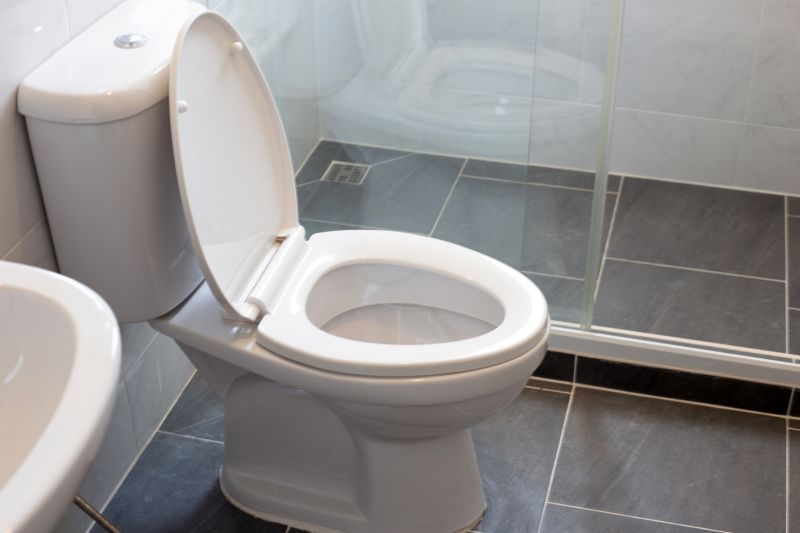 Toilet Installation Service detail